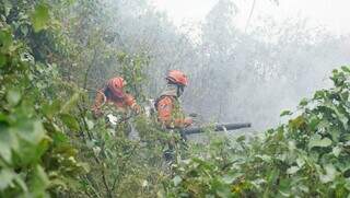 Bombeiros no meio de vegetação tentando apagar fogo usando soprador (Foto: Alex Machado)