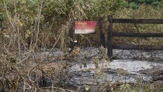 Placa de fazenda em área atingida por queimada no Pantanal. (Foto: Alex Machado)