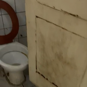 Fezes na parede e vasos entupidos: mãe denuncia banheiro imundo de escola