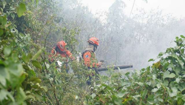 Guerra contra o fogo no Pantanal j&aacute; mobilizou 415 bombeiros de MS
