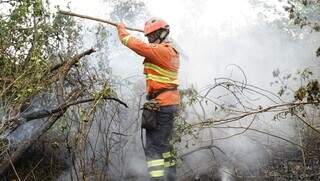 Brigadista contendo as chamas no Pantanal (Foto: Alex Machado)