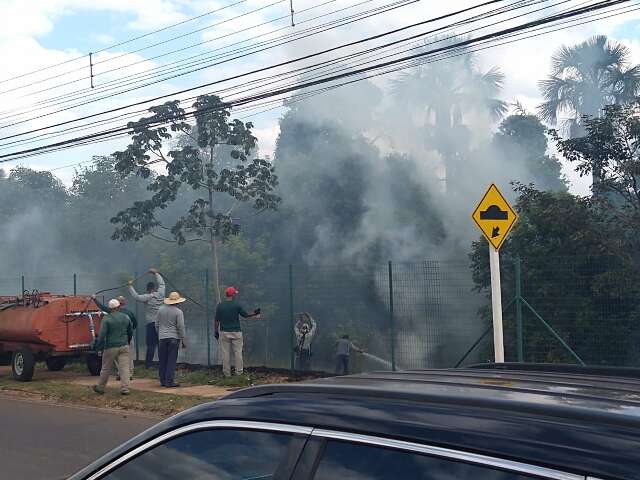 Equipe do Damha, bombeiros e CCR apagam fogo em &aacute;rea de preserva&ccedil;&atilde;o