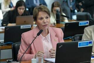 Senadora Tereza Cristina durante discussão em comissão do Senado (Foto: Divulgação/Senado Federal)