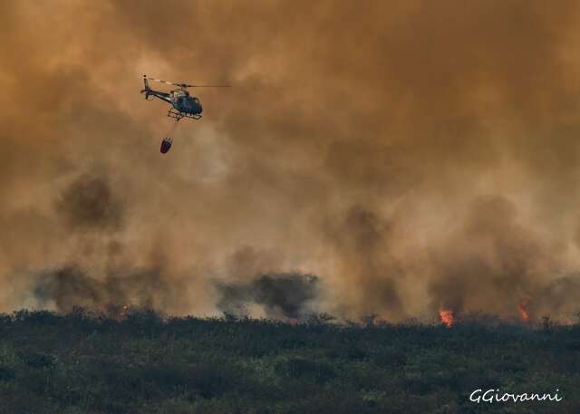 Guigui usa fotojornalismo para &lsquo;ampliar a voz do Pantanal&rsquo; nas redes sociais