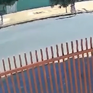 Vídeo mostra idosa caindo ao ter bolsa arrancada por ladrão 