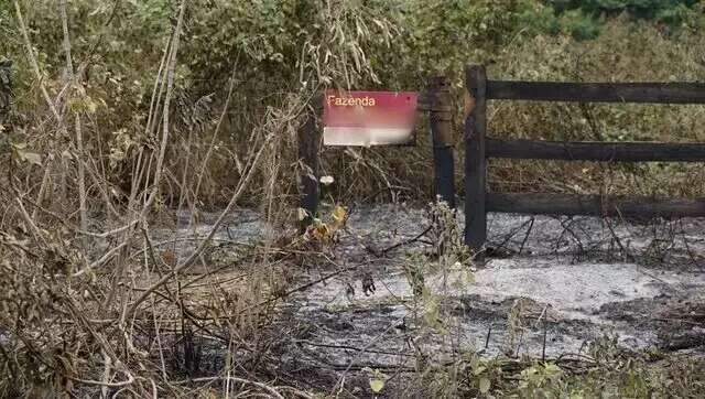 Famasul e Acrissul repudiam declara&ccedil;&otilde;es de ministras sobre inc&ecirc;ndios no Pantanal