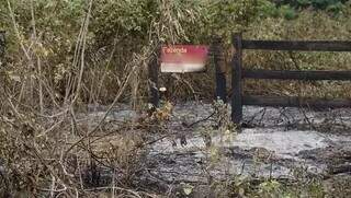 Placa de fazenda em área atingida por queimada no Pantanal (Foto: Alex Machado)