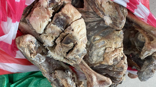 Carne de lhama (Foto: divulgação) 