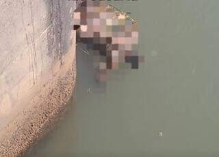 Corpo encontrado no Rio Sucuriú, em Costa Rica. (Foto: Ynove Notícias)
