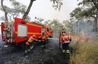 Bombeiros de MS apagando fogo no Pantanal (Foto: Saul Schramm)