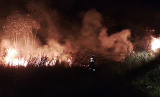 Combate a incêndio no Pantanal de MS, em junho (Foto: Divulgação/Corpo de Bombeiros)