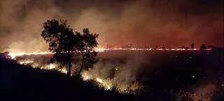 Fogo em área de vegetação na região de Corumbá (Foto: Corpo de Bombeiros/Divulgação)