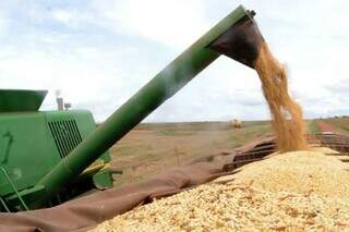 Plataforma de colheitadeira descarrega soja em caminhão durante colheita; para safra 24-25, houve aumento de 10% no volume de recursos. (Foto: Arquivo/Agência Brasil)