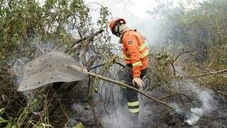 Brigadistas durante combate a incêndios no Pantanal (Foto: Alex Machado)
