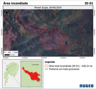 Imagem de satélite mostra área que pegou fogo em uma das fazendas em 4 de junho deste ano (Foto: Reprodução/MPMS)
