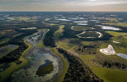WWF cobra ações já contra maior seca dos últimos 5 anos no Pantanal