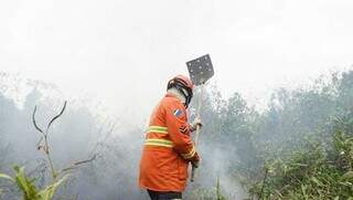 Brigadista apagando incêndio no Pantanal na região de Corumbá (Foto: Alex Machado)