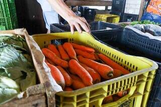 Um dos principais incentivos é a agricultura orgânica, como cenoura produzida em Campo Grande. (Foto: Arquivo)