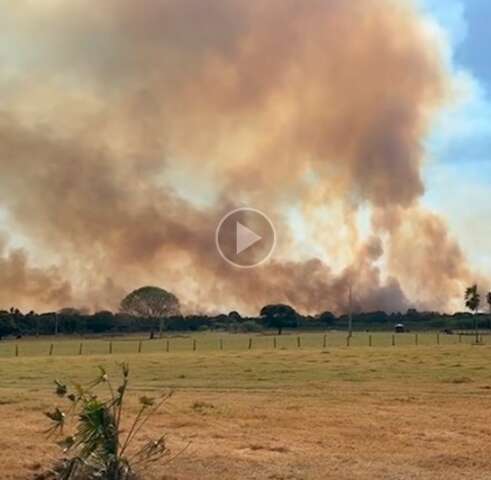 Investigada, fazenda perdeu pouco em queima cient&iacute;fica e 85% com &quot;fogo vizinho&quot;