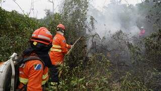 Bombeiros atuando no combate a incêndio do Pantanal (Foto: Alex Machado)