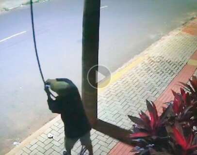 Câmera de segurança flagra mais um homem arrancando fiação no Rita Vieira