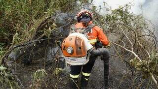 Brigadistas combatendo chamas no Pantanal (Foto: Alex Machado)