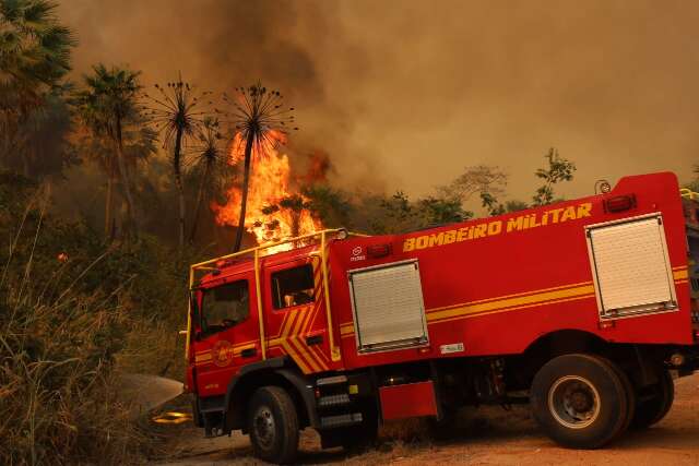 Fagulhas de altos coqueiros dificultam combate ao fogo no Nabileque