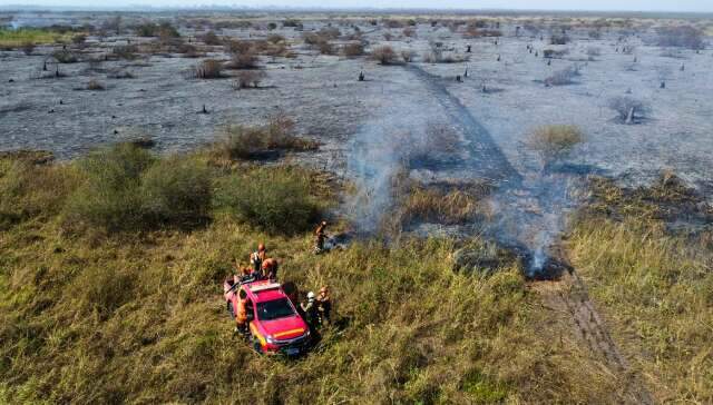 &Aacute;rea degradada do Pantanal pode chegar a 2,1 milh&otilde;es de hectares, aponta estudo