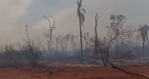 Fogo praticamente acaba com reserva florestal em assentamento de Itaquiraí