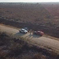 Depois de inc&ecirc;ndios, cart&atilde;o-postal verde do Pantanal de MS fica cinza 