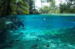 Mergulho na Nascente Azul, um dos atrativos de Bonito (Foto: Flávio André/Ministério do Turismo)