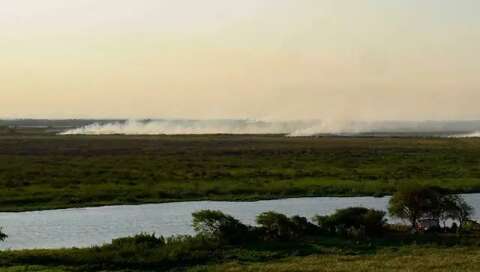 Com 98 km² em MS, extensão do Pantanal é desafio contra fogo