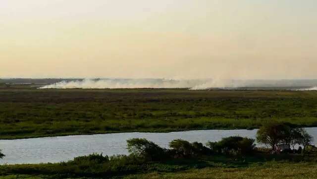 Com 98 km&sup2; em MS, extens&atilde;o do Pantanal &eacute; desafio contra fogo