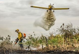 Brigadista combatendo incêndio do solo enquanto aeronave ajuda no ar (Foto: Divulgação/Governo Federal)