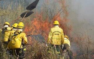 Profissionais do Prevfogo, do Ibama, em ação de combate ao fogo no Pantanal (Foto: Divulgação)