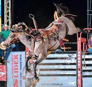 Égua &#34;Louca Paixão&#34; pulando em uma arena de rodeio. (foto: Reprodução/Instagram)