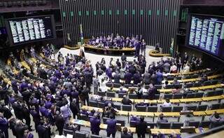 Deputados participam de votação no Plenário da Câmara, em Brasília (DF). (Foto: Mário Agra/Câmara dos Deputados)