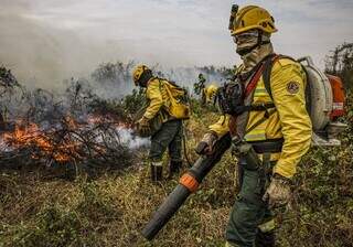 Brigadistas do PrevFogo/Ibama combatem incêndios florestais em Corumbá (MS) (Foto: Agência Brasil)
