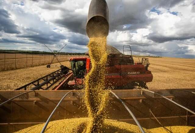 País deve produzir 299,2 milhões de toneladas de grãos nesta safra 2023/2024