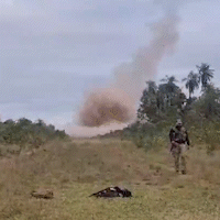 Paraguai explode pistas clandestinas e destrói “ninho” do tráfico na fronteira