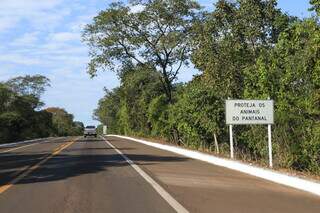 Placa pede proteção aos animais na BR-262, que leva ao Pantanal. (Foto: Paulo Francis)