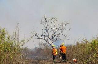 Brigadistas atuam no combate aos incêndios no Pantanal. (Foto: Álvaro Rezende)
