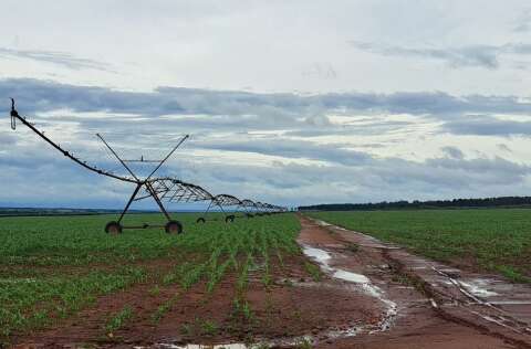 MS aprova R$ 227 milhões do FCO para irrigação, manejo de solo e avicultura