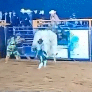 Vídeo de peão pisoteado por touro é o mais visto da semana