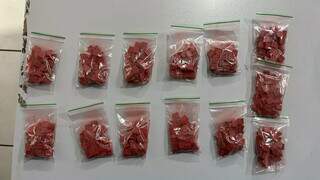 Comprimidos e ecstasy foram encontrados em saquinhos plásticos (Foto: Divulgação)