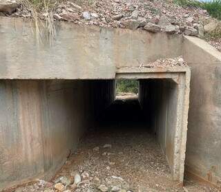 Túnel na estrada para passagem de fauna. (Foto: Direto das Ruas)