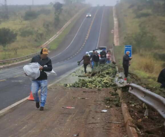 Carga de fruta &eacute; saqueada e at&eacute; boi morto em acidente acaba carneado na BR-262