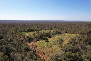 Parte do Cerrado vista do alto, onde passará 5 mil hectares de fragmentos de vegetação nativa do bioma (Foto: Divulgação/Suzano)