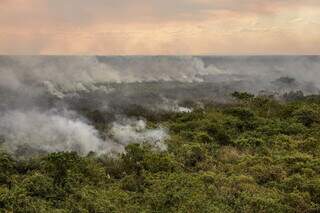 Queimadas em áreas do Pantanal, em Corumbá, em junho deste ano (Foto: Marcelo Camargo/Agência Brasil)
