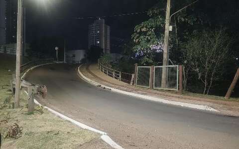 Carreta é retirada de avenida e trânsito liberado no Chácara Cachoeira